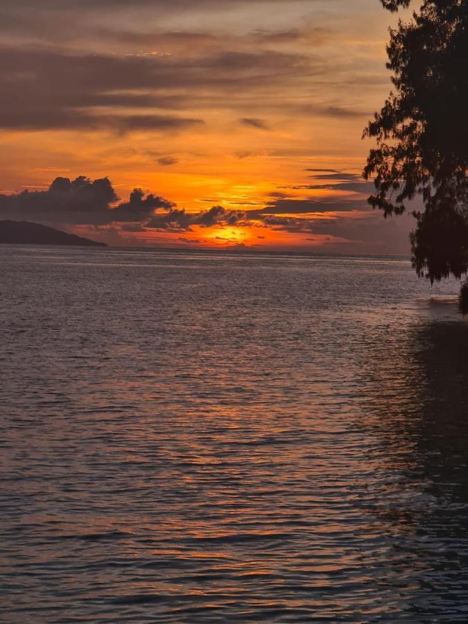 Wai Resort - Raja Ampat Pulau Birie 외부 사진