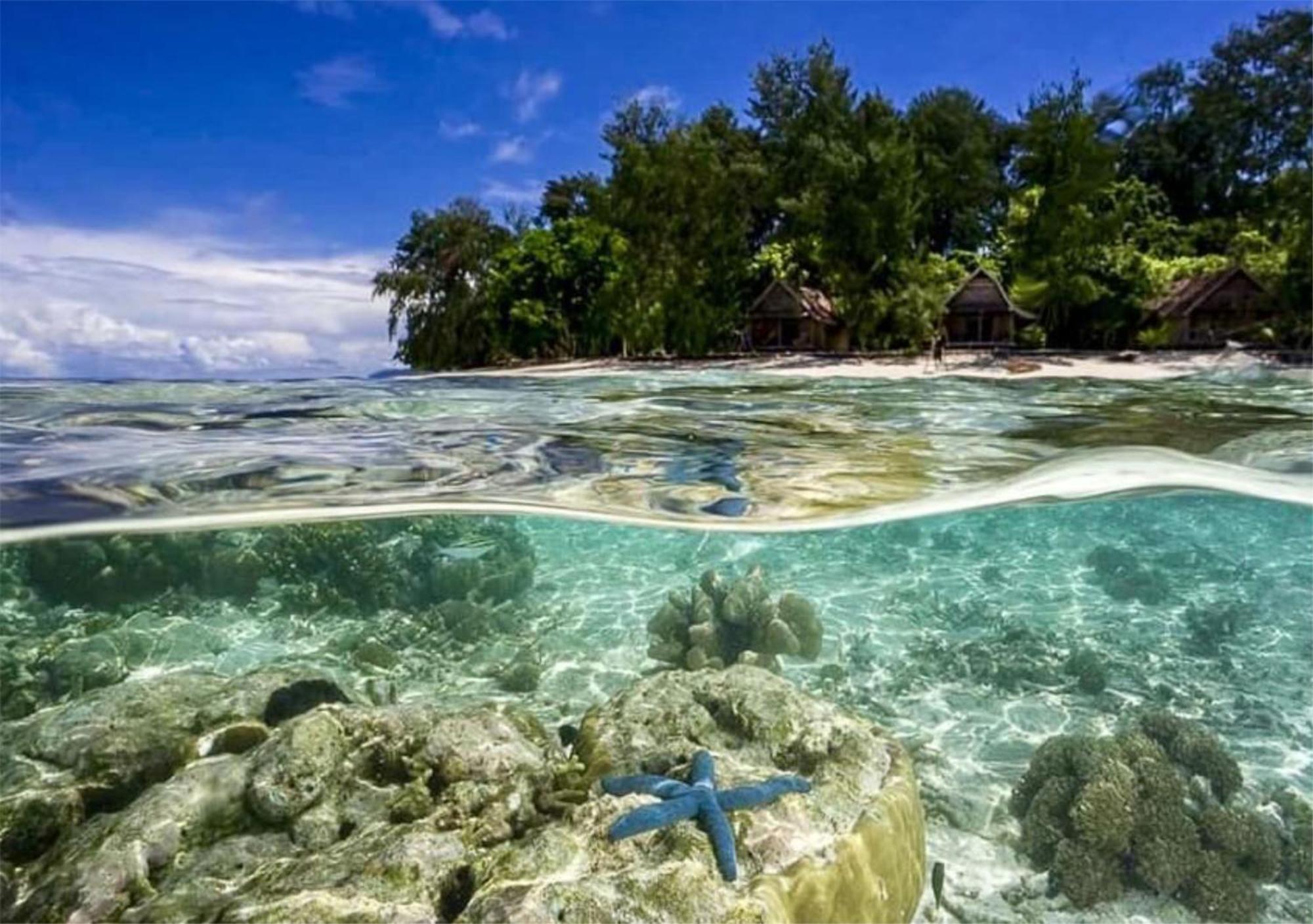 Wai Resort - Raja Ampat Pulau Birie 외부 사진