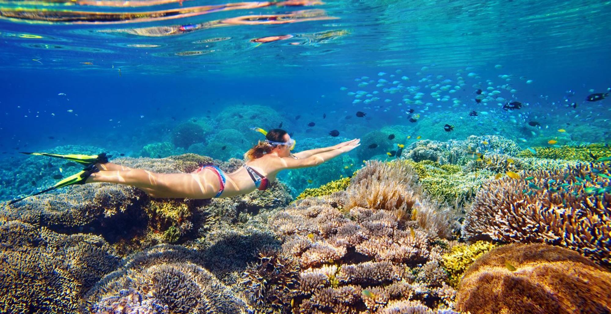 Wai Resort - Raja Ampat Pulau Birie 외부 사진